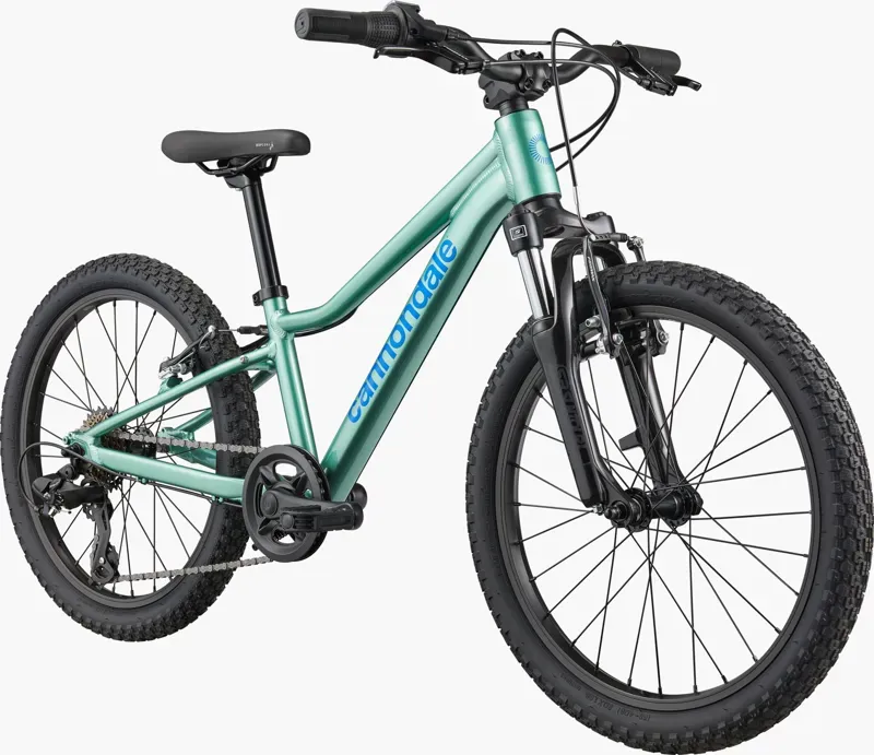 Cannondale Kids Trail 20 Mountain Bike in Cactus Green-1