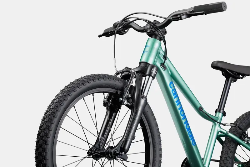 Cannondale Kids Trail 20 Mountain Bike in Cactus Green-3