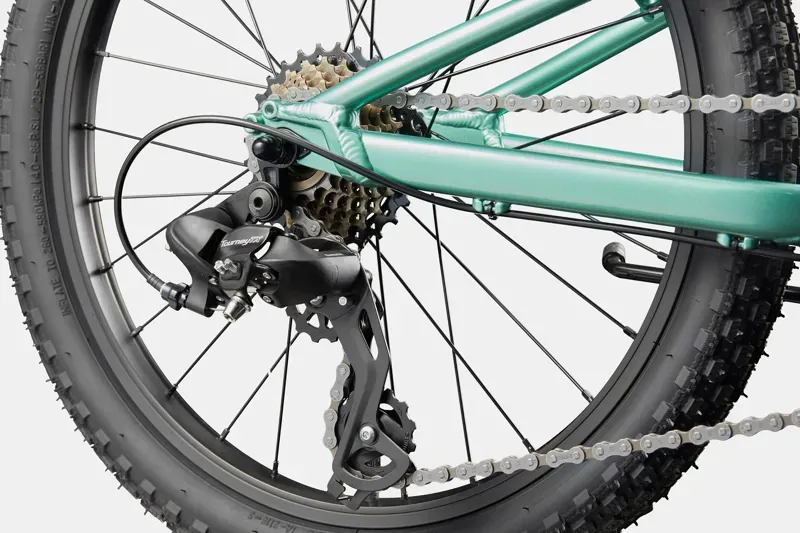 Cannondale Kids Trail 20 Mountain Bike in Cactus Green-4