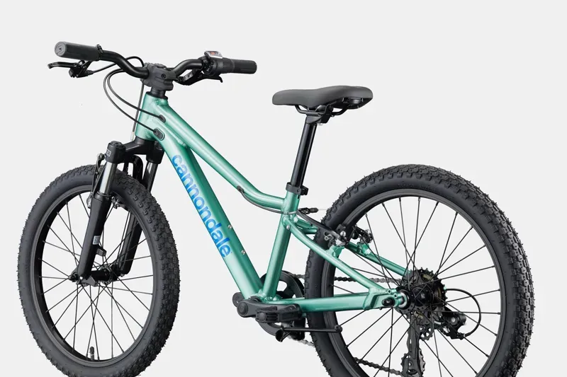 Cannondale Kids Trail 20 Mountain Bike in Cactus Green-5