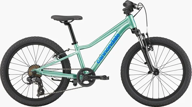Cannondale Kids Trail 20 Mountain Bike in Cactus Green