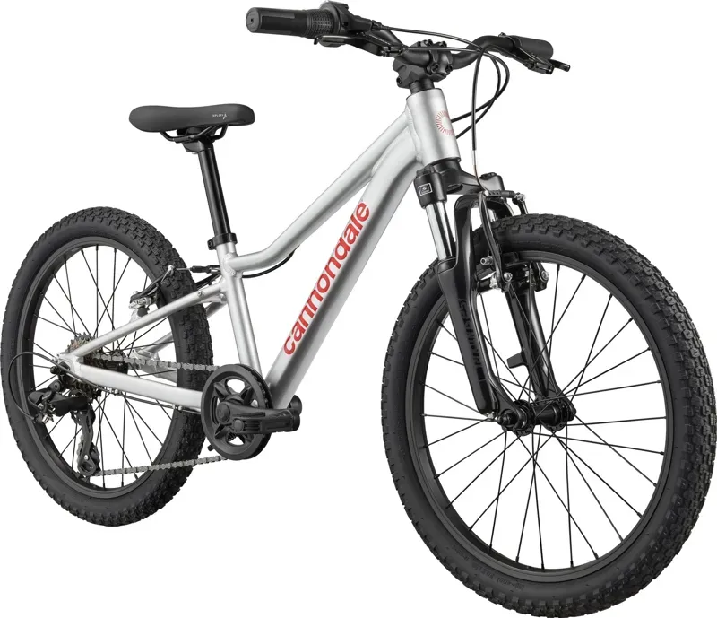 Cannondale Kids Trail 20 Mountain Bike in Silver-1