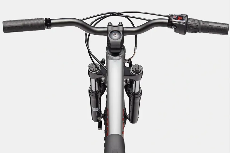 Cannondale Kids Trail 20 Mountain Bike in Silver-2