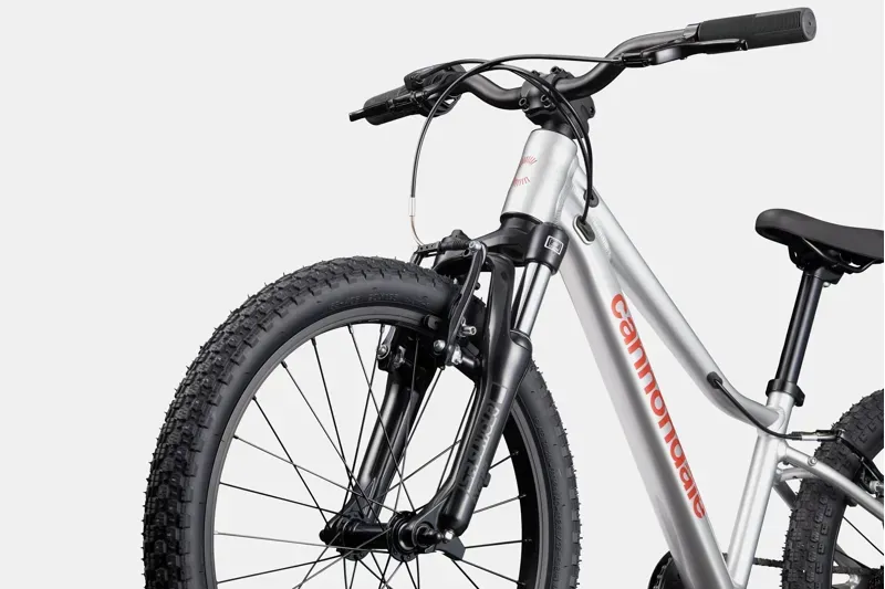 Cannondale Kids Trail 20 Mountain Bike in Silver-3