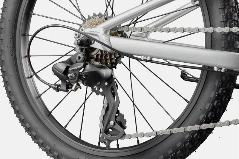 Cannondale Kids Trail 20 Mountain Bike in Silver-4