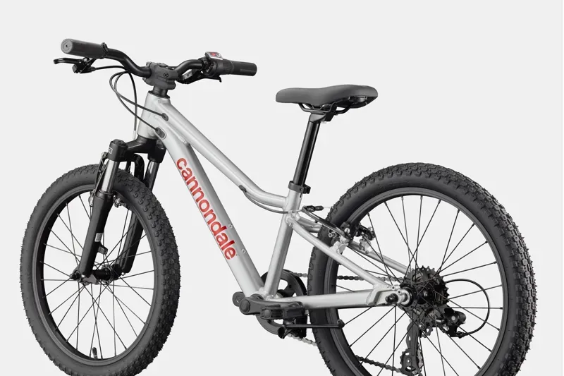 Cannondale Kids Trail 20 Mountain Bike in Silver-5